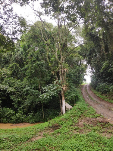 Imagem 12 de 12 de Vendo Meu Terreno Aceito Troca Por Veiculo Bf