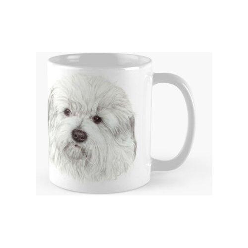 Taza Coton De Tulear - El Perro De Algodón Calidad Premium