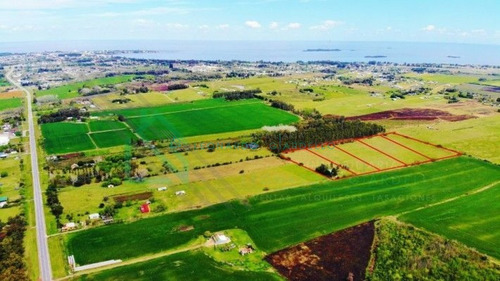 Imagen 5 de 5 de Colonia Del Sacramento - Chacras De 1 Hectárea