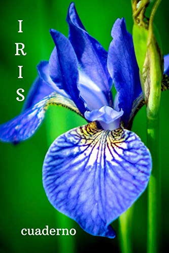 Iris: Cuaderno Motivacional De La Flor Revista El Libro Mas