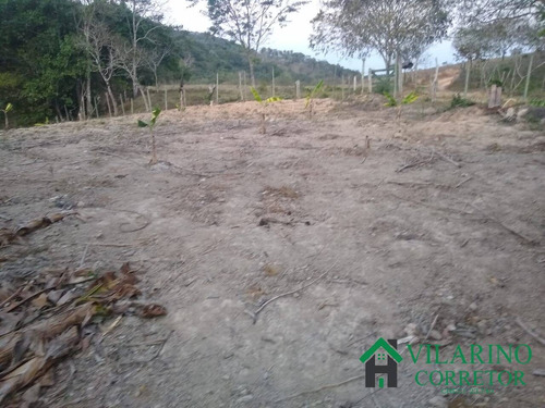 Imagem 4 de 13 de Sítios Fazendas E Terrenos Em Bom Jesus Do Amparo - 2801