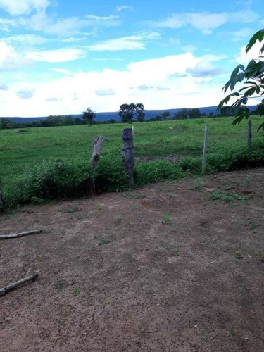 Ótima Fazenda Brasilandia , Terra Vermelha,plana 450 Hectares 3.600,000,00 - 38053