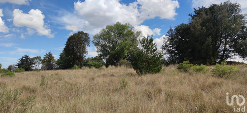 Venta Terreno 0 Ambiente La Mora