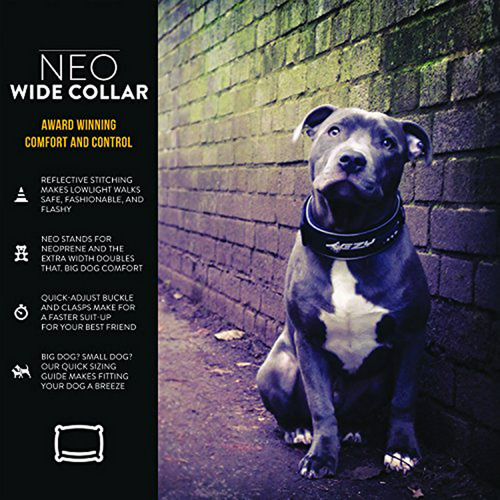 Collar Ancho Para Perro Ezydog Neo Classic