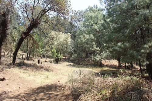 Imagen 7 de 10 de Terreno En Paraje Tetecuintla, Huitzilac, Morelos.