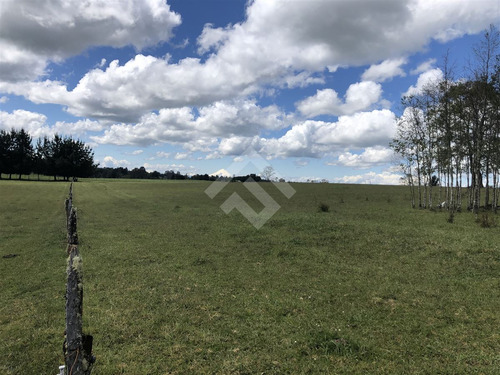 Campo De 4 Hectáreas En Purranque