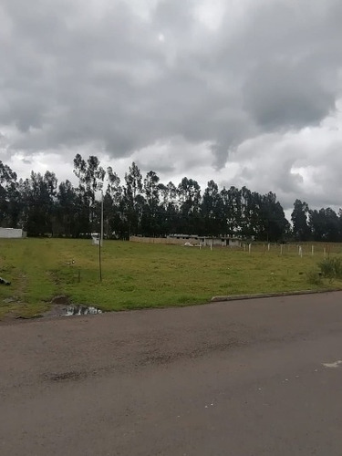 Imagen 6 de 7 de Terrenos Tabacundo (barrio Alegría)