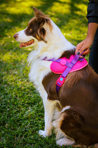 Coleira Para Cãe Meuauau Safe New Pink Tamaño M