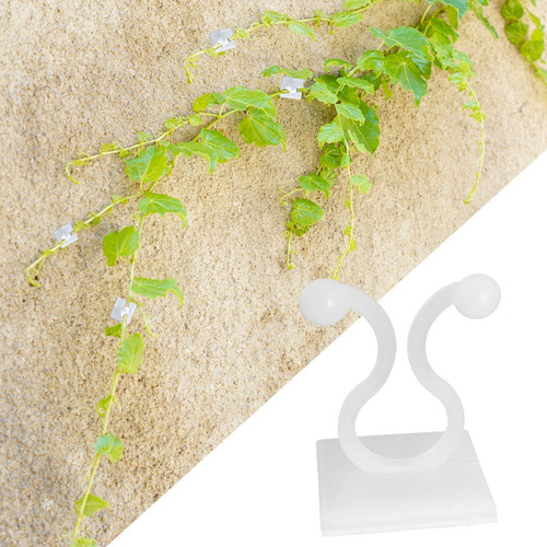Q Clips Para Plantas Trepadoras Soporte Para Escaladores De