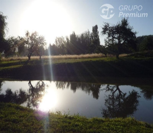 Imagen 7 de 11 de Sitio En Venta En Chiguayante