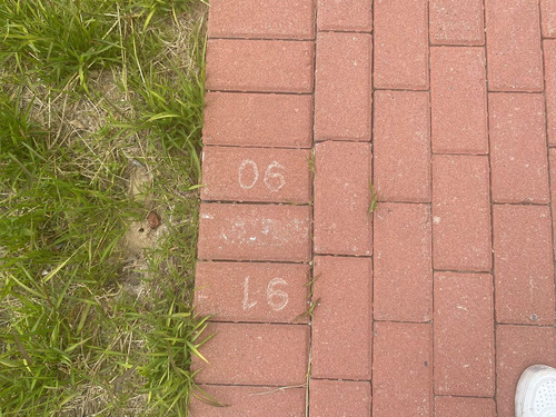 Terreno En Venta En Ciudad Maderas Sur Ii