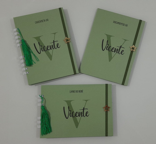 Kit Caderneta Vacina, Porta Certidão, Livro Do Bebê Verde