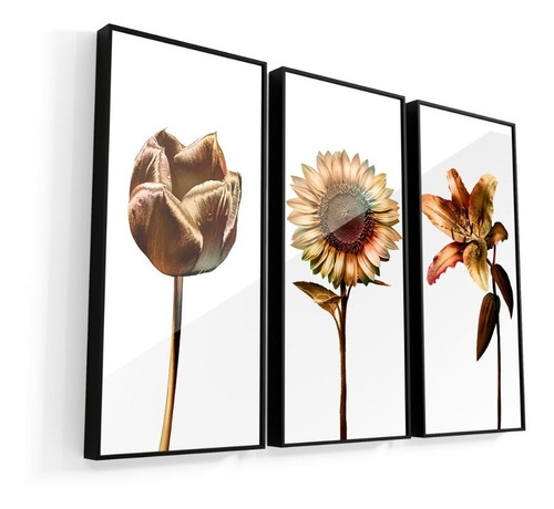 Quadro Três Flores 3 Pç 123x92cm | Moldura Com Vidro