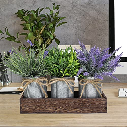Conjunto 3 Plantas Artificiales En Macetas Galvanizadas Con