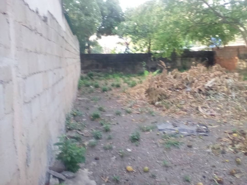 Imagen 6 de 12 de Remate Se Vende Casa En La Candelaria Zona Aragua Con Buen Terreno Precio De Remate La Mejor Zona De La Candelaria 04243785803