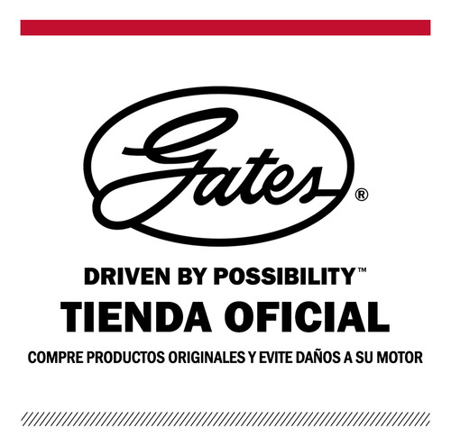 Correa De Tiempo Dodge Neon 2.0 95-99 Gates
