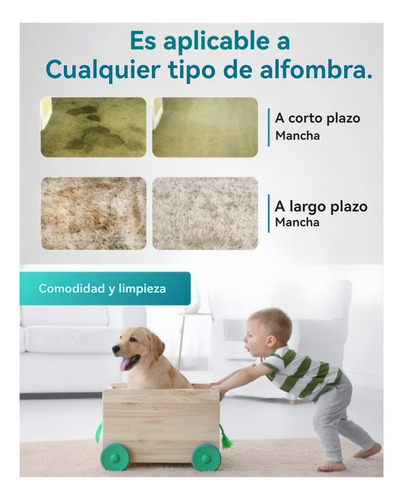 Aspiradora De Alfombras Tacho Mejor Calidad Vida Buenas