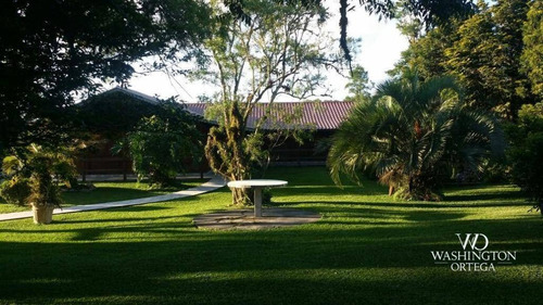 Imagem 4 de 22 de Chácara À Venda, 20000 M² Por R$ 1.700.000,00 - Faxina - São José Dos Pinhais/pr - Ch0076