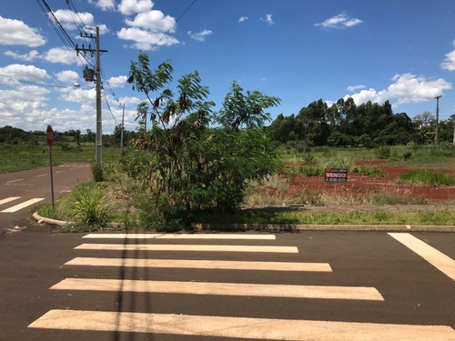 Imagem 3 de 10 de Terreno À Venda, 417 M² Por R$ 155.000,00 - Loteamento Residencial Stella Maris - Foz Do Iguaçu/pr - Te0381