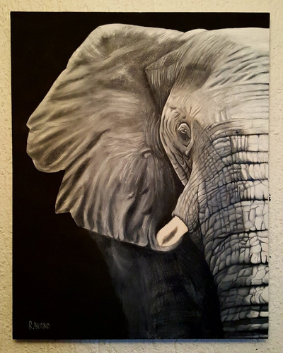 Cuadro Pintura Oleo Elefante Listo Para Colgarse