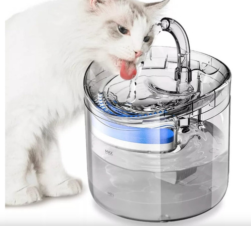 Fuente Para Gato Bebedero Para Regalones Color Trasparente