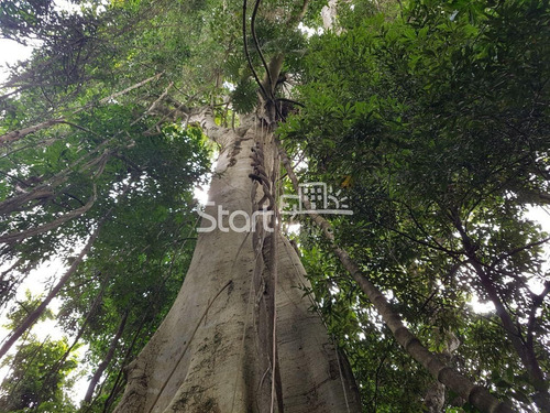 Imagem 26 de 26 de Chácara À Venda Em Sousas - Ch090248