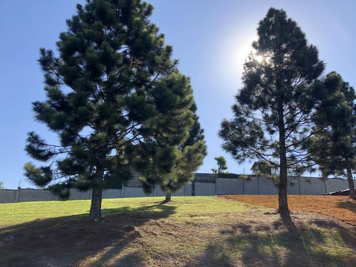 Terreno À Venda, 550 M² Por R$ 600.000,00 - Alphaville Granja Viana - Carapicuíba/sp - Te0549