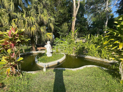 Imagem 4 de 18 de Belíssimo Sitio Com Vista Panorâmica Para A Natureza Em Juquitiba - 266 - 71164304
