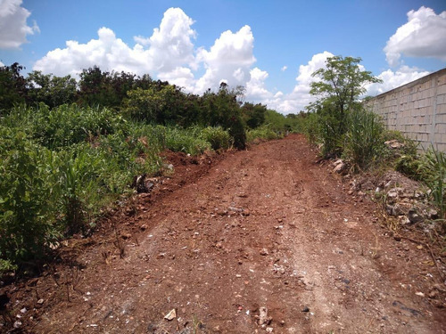 Imagen 11 de 18 de Terreno - Pueblo Cholul