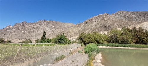 Agrícola En Venta En Vicuña
