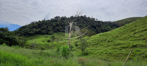 Imagem 7 de 13 de Linda Fazenda Em Silveiras - 27 Alqueiresn-aceita Permuta Até 50% Do Valor - 2070
