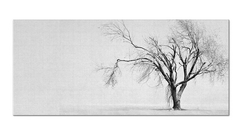 Quadro Sala Quarto Canvas Foto Galhos Árvore Branco 195x90cm