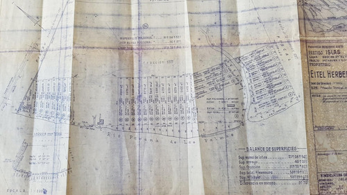 Imagen 6 de 30 de Lote De 25.000m2 Venta 2da Sección Delta Islas Paraná Palma