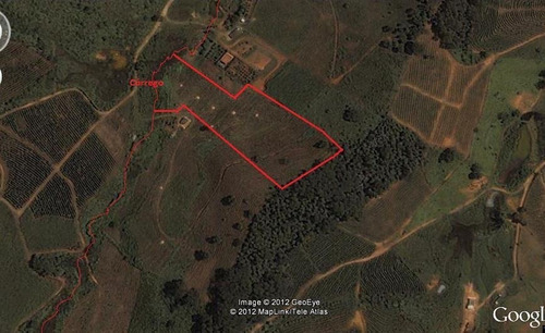 Imagem 2 de 4 de Chacara - Paraiso - Ref: 7656 - V-anp7656