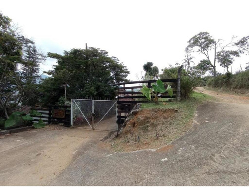 Imagen 3 de 17 de Finca En Arriendo En Cali Pance