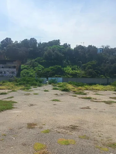 Terreno Grande En La Atlantida