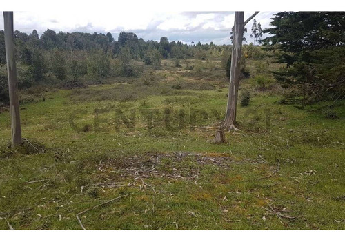 Excelente Oportunidad De Inversión Puerto Montt