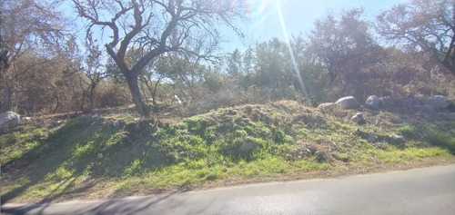 Imagen 12 de 19 de Lote En Venta De 1218m2 Ubicado En Villa De Las Rosas