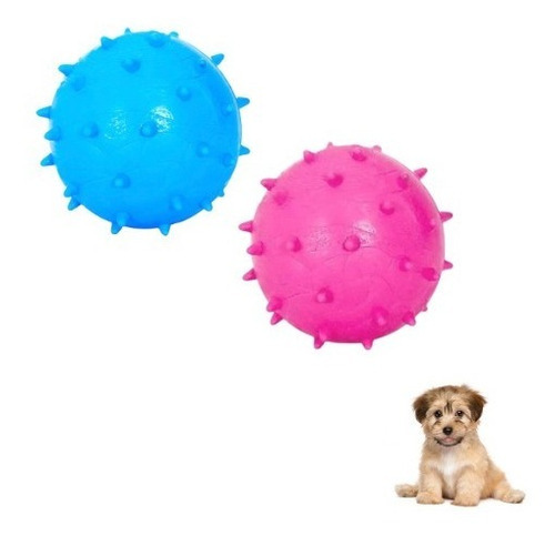 Bolinha Mamoninha Maciça 45mm Cachorro Adestramento Bola Pet Cor Azul