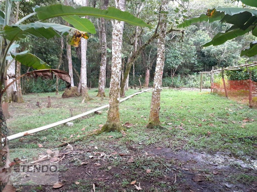 Imagem 9 de 28 de Chácara 250 M² - Venda - 2 Dormitórios - Chácara Sete Cruzes - Suzano/sp - Ch0060