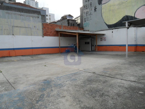 Imagem 1 de 7 de Terreno Com Área De 305 M² Vila Mariana / Ana Rosa - Tw9193