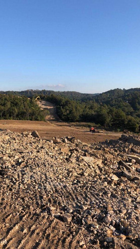 Imagem 14 de 27 de Terreno À Venda, 300 M² Por R$ 115.000,00 - São Giácomo - Caxias Do Sul/rs - Te0173