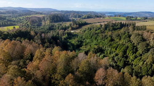 Parcela 5.000m2 | Sector Puquereo | Eje Freire-villarrica