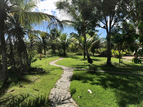 Fazenda Com 5,5ha A Casa Tem 495m2 Construído Em 2 Andares. Piscina Natural. O Imóvel E Perfeito Para Plantar Café Ou Cacau