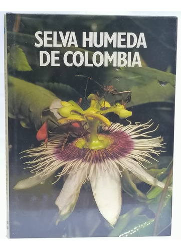 Selva Húmeda De Colombia