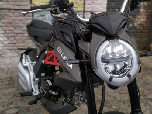 Imagen 3 de 16 de Gilera , Gx 1
