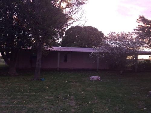 Imagen 2 de 17 de Campo De 10 Hectareas A 1500 Mts De Ruta 39 Con Chalet 4 Amb U$s180.000
