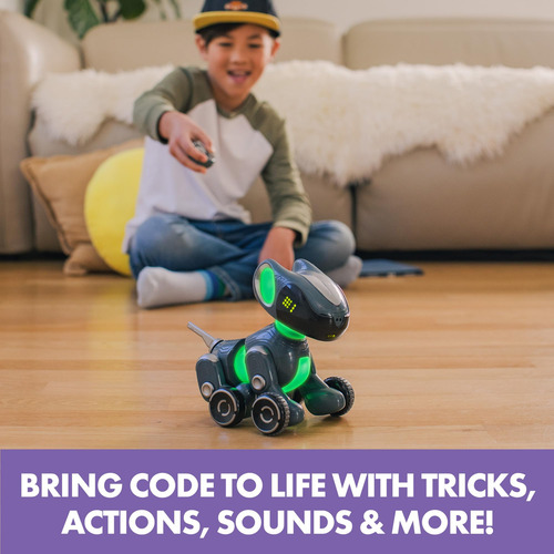 Coding Robot Educational Insights: El Mejor Amigo De Los Cod
