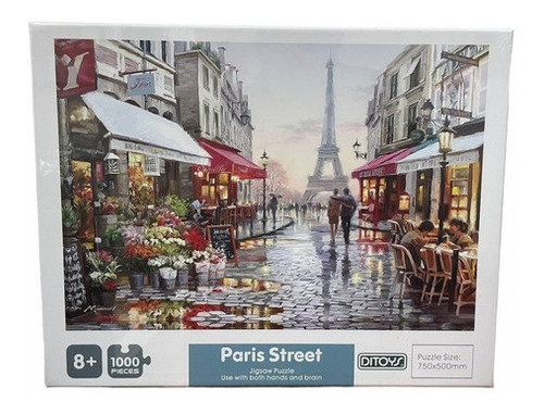 Rompecabezas Puzzle Paris Street 1000 Piezas Ditoys 2410