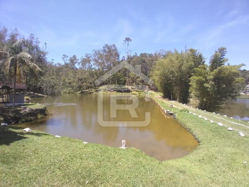 Imagem 17 de 30 de Lindo Sítio Em Juquitiba Com Imenso Lago, Piscina, Nascentes - 92 - 70323419